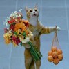 Аватара пользователя